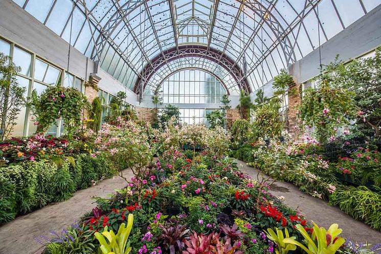 Auckland domain winter garden