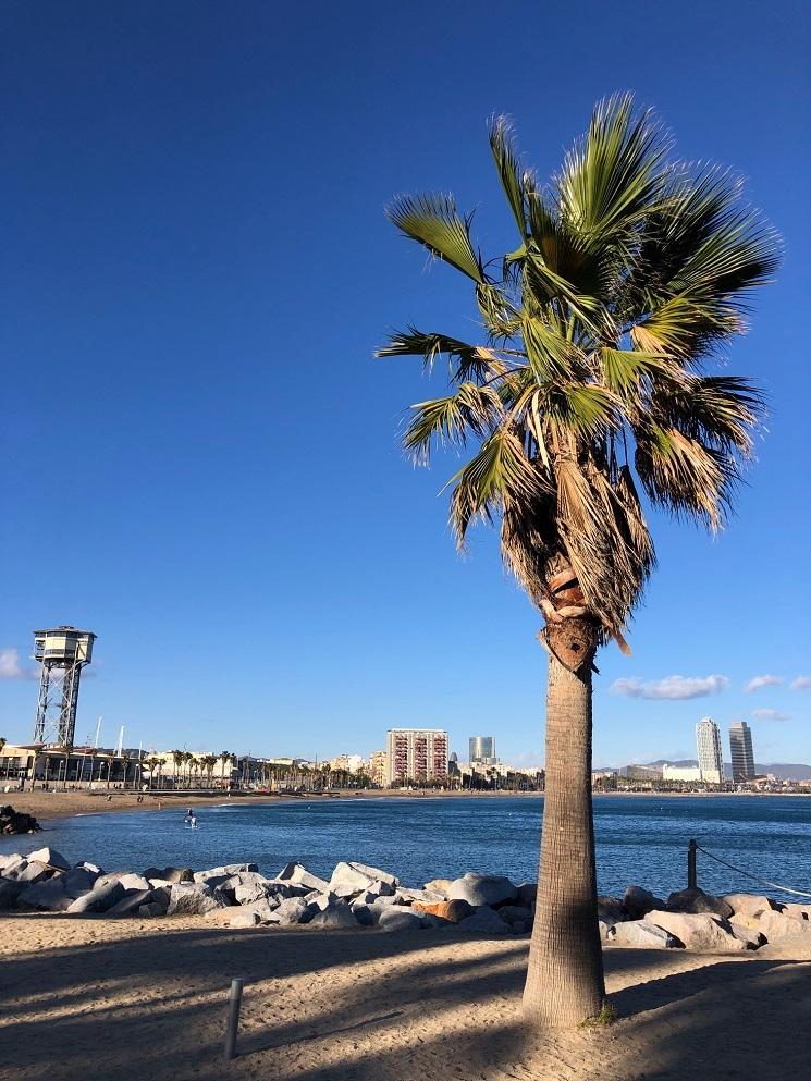 vue du port de barcelone