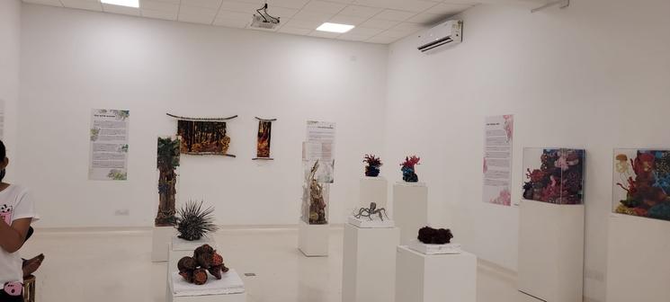 Exposition Bhoomi à l'Aliance française de Madras. Photo : Fabienne