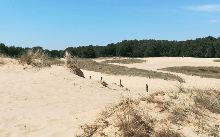 Dunes de Boberg à Hambourg
