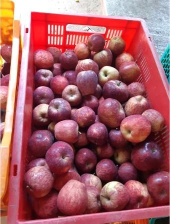 Cageot de pommes indiennes