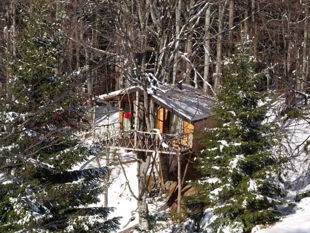 casa-din-copac-complex-harmonie-cabane-arbres-roumanie