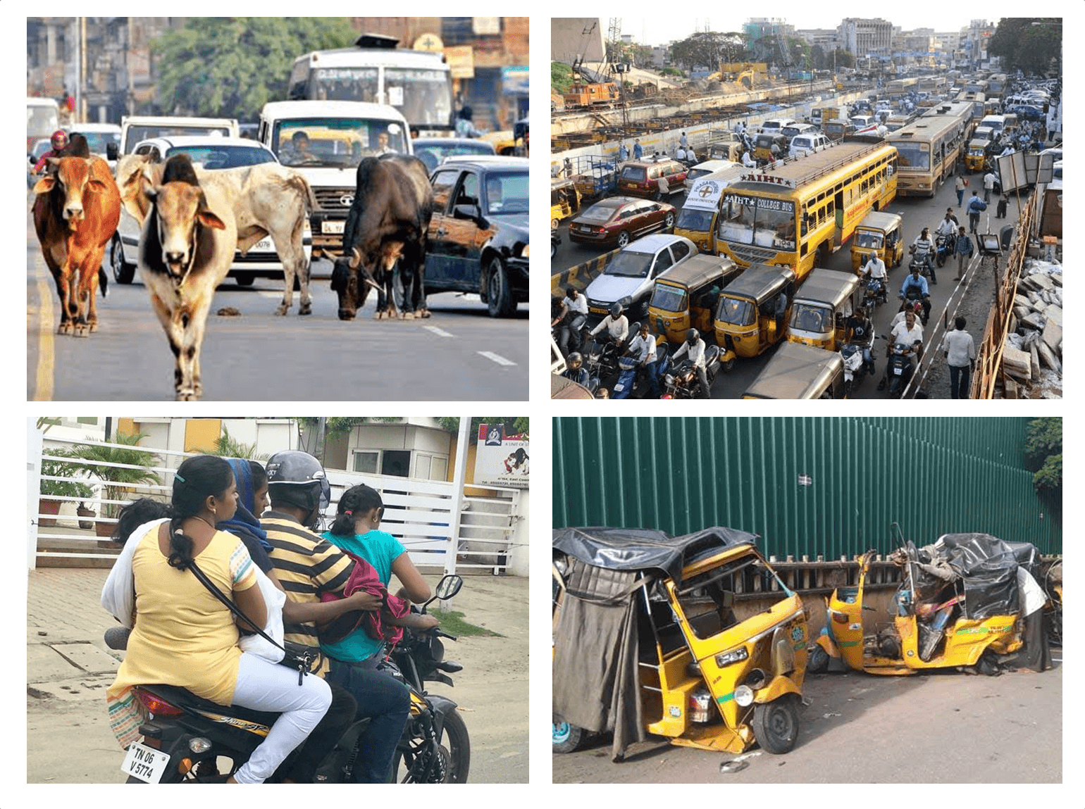 accidents inde routes vaches voitures sécurité