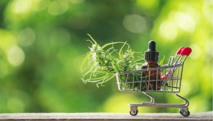 herbes et huiles essentielles de cbd 