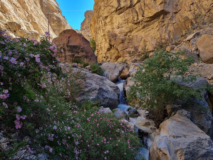 Chemin pour se rentre à Tar. Photo : Rachel Matalon