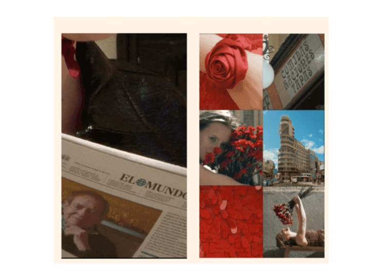 image de coco Julieta