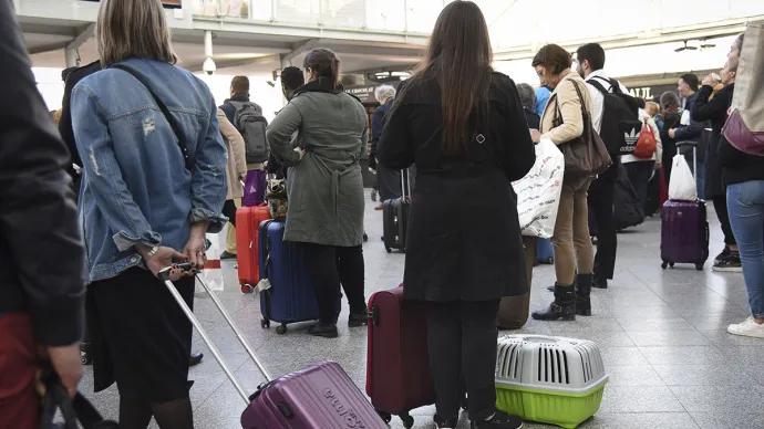 Des voyageurs font la queue dans un terminal d’aéroport avec des valises et un panier de transport pour animal posé au sol. La scène illustre le départ ou le rapatriement de passagers voyageant avec leurs animaux de compagnie.