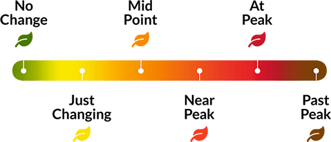 Echelle des couleurs de l'automne