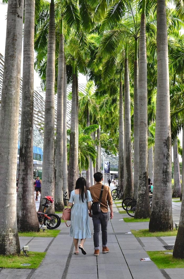 un couple marche à singapour 