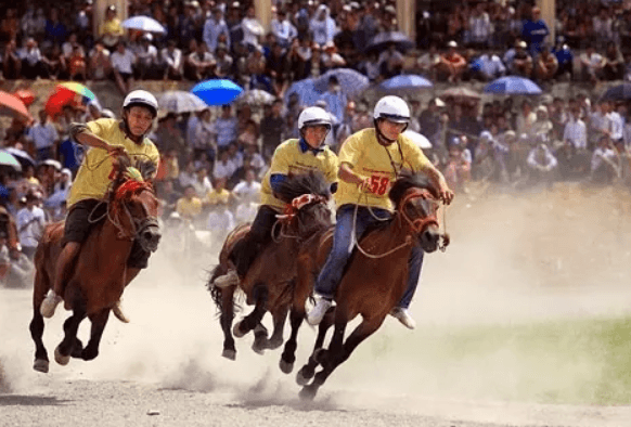 La course hippique de Bac Ha