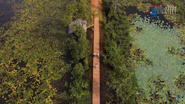 A wooden causeway leading to the Neak Poan temple