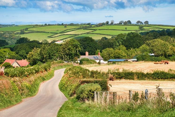 Un paysage bucolique à Devon 