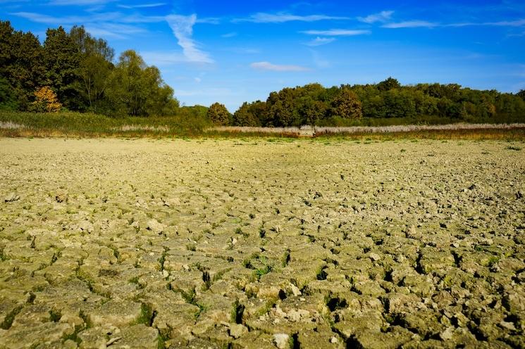 la crise des sols dans le monde 