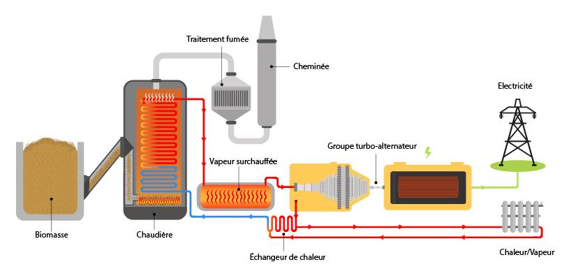 Schéma centrale biomasse