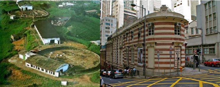 ferme Vaches laitières hong kong