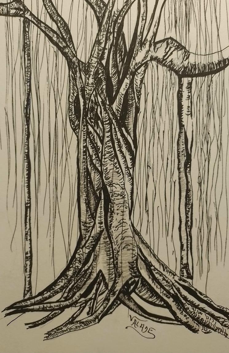 le banian, un arbre symbolique au Vietnam