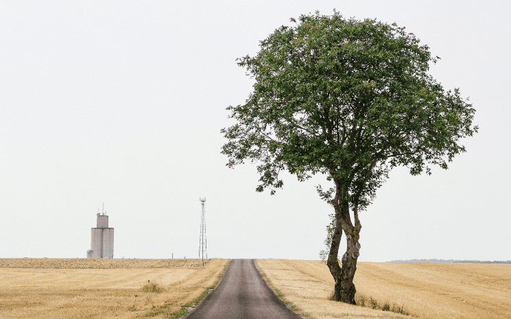 Une ancienne voie romaine parmi les étendues agricoles de l’Aube