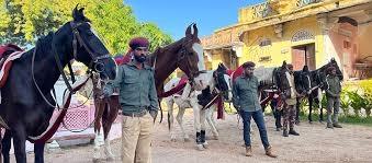 equitation
