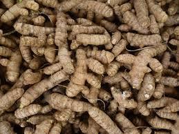 Un terroir et une identité  Les cultures traditionnelles de curcuma indien portent le nom de la localité où elles sont produites. Ainsi, le curcuma cultivé dans la région d’Erode est appelé Erode Curcuma ou Turmeric, sans grande précision sur les variétés qui y poussent. Erode n’est pas une ville qui se distingue par une attraction touristique particulière, mais elle possède plusieurs marchés reconnus pour sa taille. Elle est notamment réputée pour son marché bovin très actif et son marché de noix de coco, essentiel pour tout le sud de l’Inde. Ce qui démarque véritablement Erode, c’est la production de curcuma : la ville est ainsi connue comme la « Ville du Curcuma ».  Aujourd’hui, le curcuma est également cultivé au Bangladesh, en Chine, au Myanmar, en Thaïlande et dans d’autres pays d’Asie du Sud-Est, mais celui d’Erode a conservé sa réputation intacte.  Usages multiples et valeur culturelle  En Inde, le curcuma est un produit utilisé de manière multiforme. Le curcuma d’Erode jouit d’une grande réputation sur les marchés locaux et internationaux pour sa qualité, sa couleur orange caractéristique et son arôme. C’est une espèce essentielle dans la cuisine indienne, mais aussi un colorant naturel et une matière première pour l’industrie pharmaceutique. Il occupe une place importante dans les cosmétiques, les soins de beauté et les soins du corps. Il est également un élément de bon augure dans les cérémonies et coutumes religieuses.  D’abord utilisé comme colorant, il est ensuite devenu un rituel de beauté et un remède contre diverses maladies.  Une histoire ancienne  À l’époque des royaumes Chola, Pandya et Chera, le curcuma était déjà produit et commercialisé dans de vastes zones autour de la rivière Bhavani. Les commerçants arabes l’introduisirent en Europe au XIIIᵉ siècle.  Marco Polo, lors de ses voyages en Inde, fut tellement impressionné par le curcuma qu’il le décrivit comme un légume aux propriétés proches de celles du safran, une épice réputée pour ses effets thérapeutiques.  