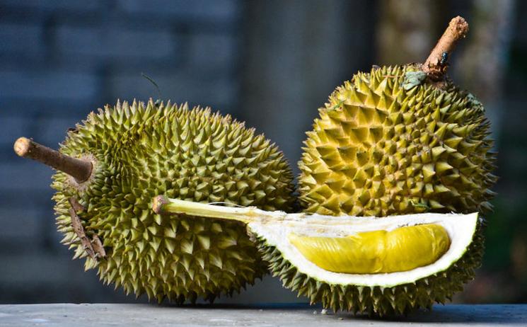 Le durian appelé le fruit qui pue au Vietnam