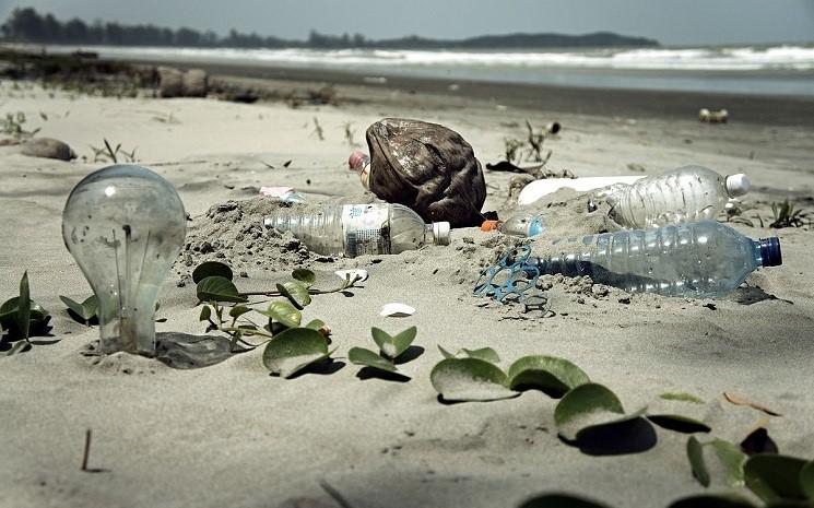 écologie hong kong