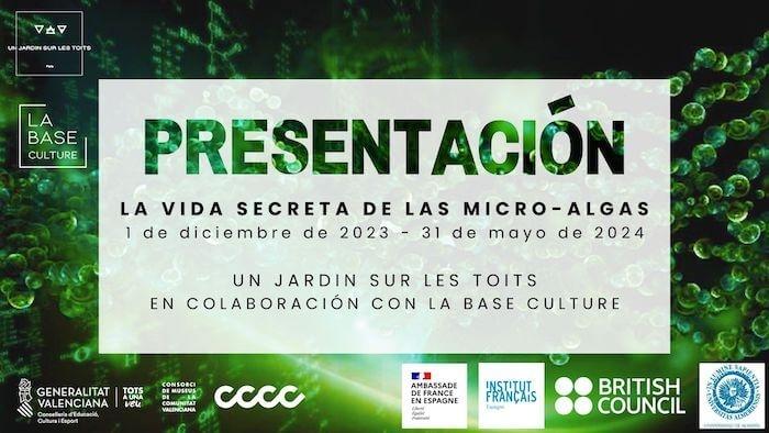 affiche verte de l'exposition La vie secrète des micro-algues au cccc de Valencia