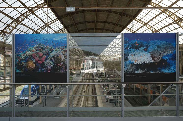 Exposition sur les Océans à la gare SNCF de Nice