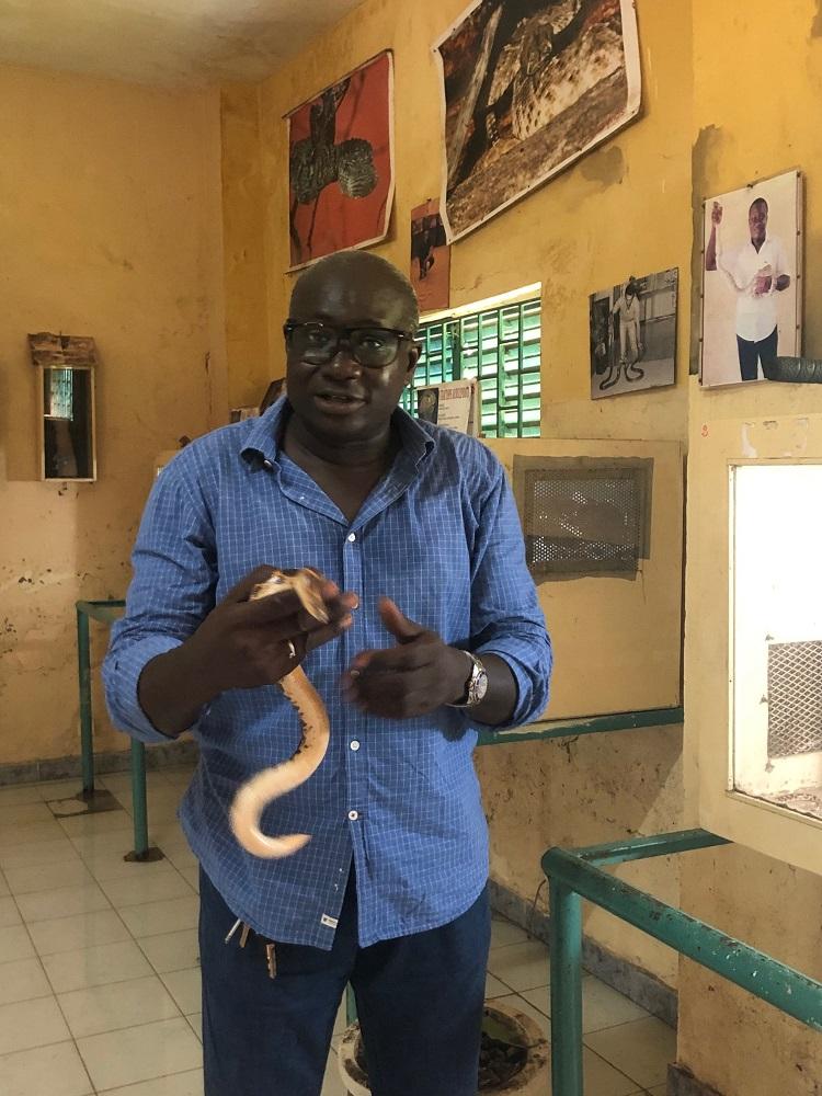 fallou gueye serpent dakar senegal