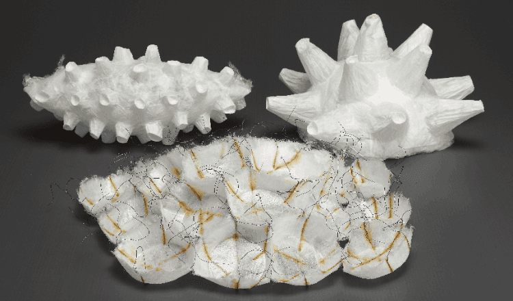 sorties-novembre-shanghai-2017