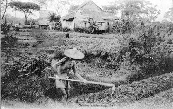 ferme de 1904 a singapour