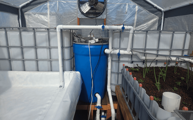 la ferme aquaponique