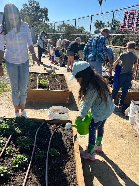 Une élève participe à la plantation de fruits et légumes