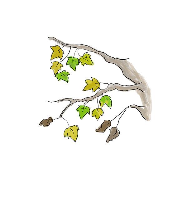 ptite-lu-shanghai-contemplation