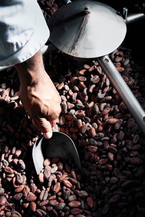 Les fèves de cacao Cluizel