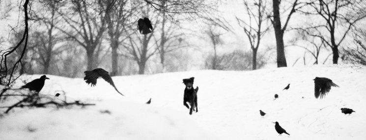 ​  @Jean-François Spricigo   ​