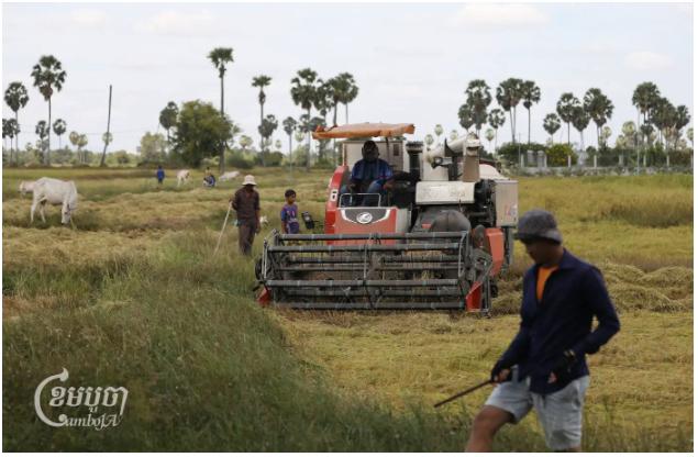 agricultuers Cambodgiens