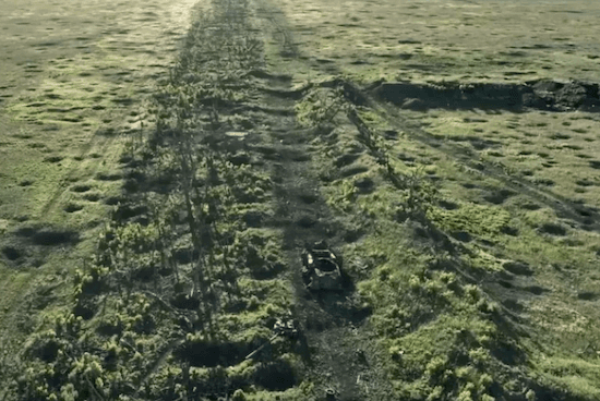 la forêt en Ukraine qui lutte contre la guerre 