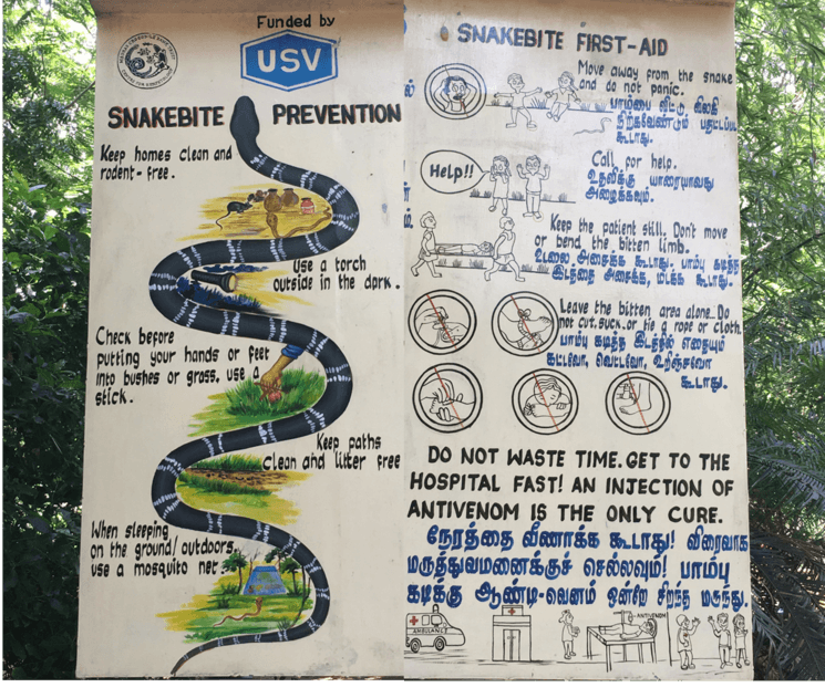 morsures serpents india inde 
