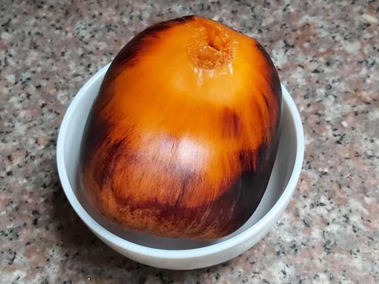 Fruit de borasse mûr (Photo : Pascal Médeville)