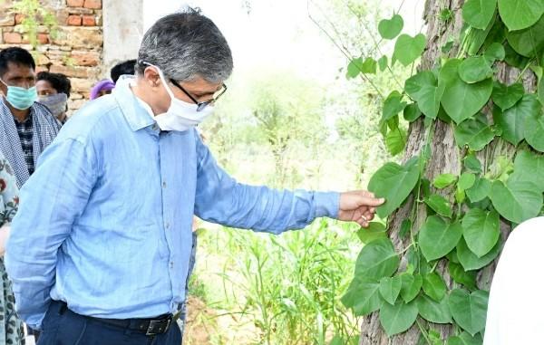 le ministre Ayush inspectant une plantation