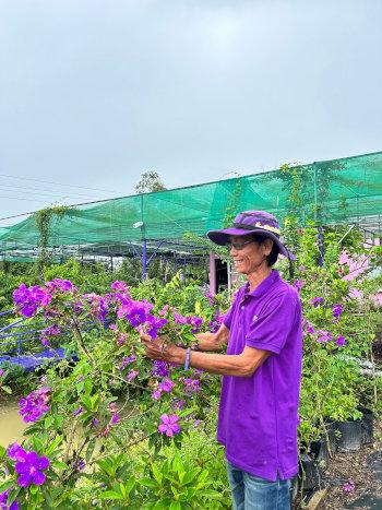 Un homme vietnamien en tenue violette