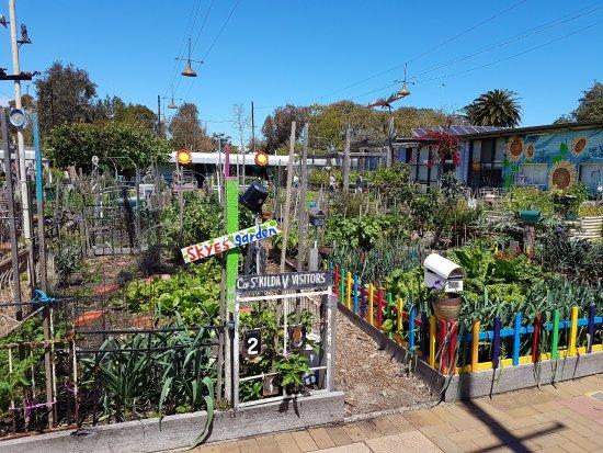 veg out garden