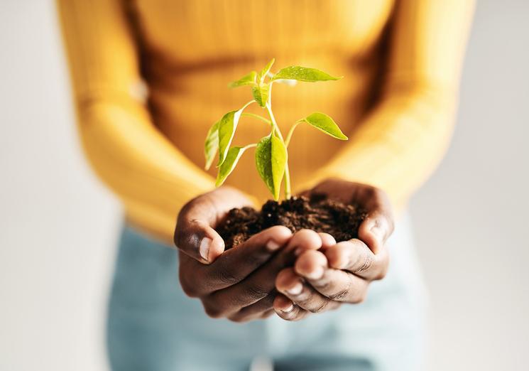 Une plante qui pousse au creux des deux mains d'une personne.