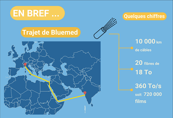 infographie Bluemed