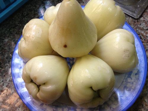 Fruits immatures sur un jambosier à Prey Régn, Cambodge (Photographie : Pascal Médeville)