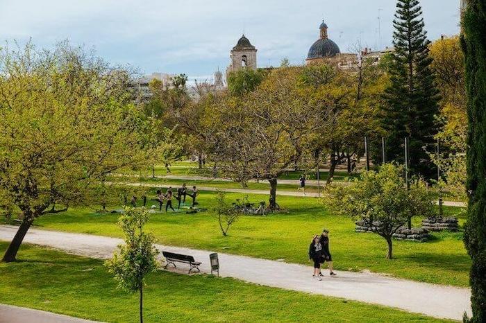 le jardin du turia à valencia