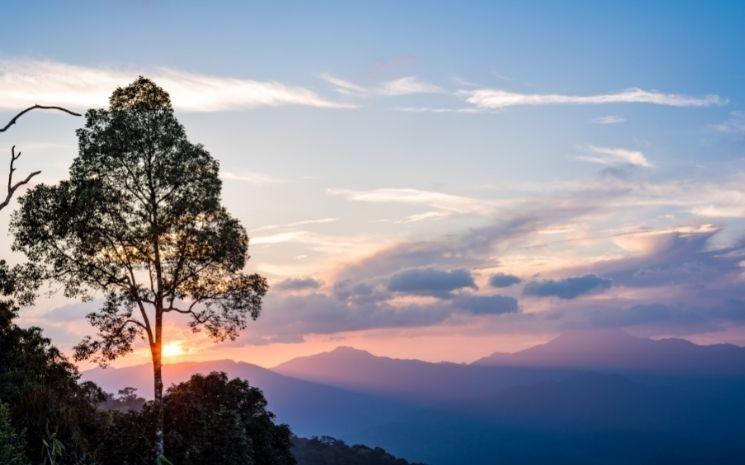 Le complexe des forêts de Kaeng Krachan