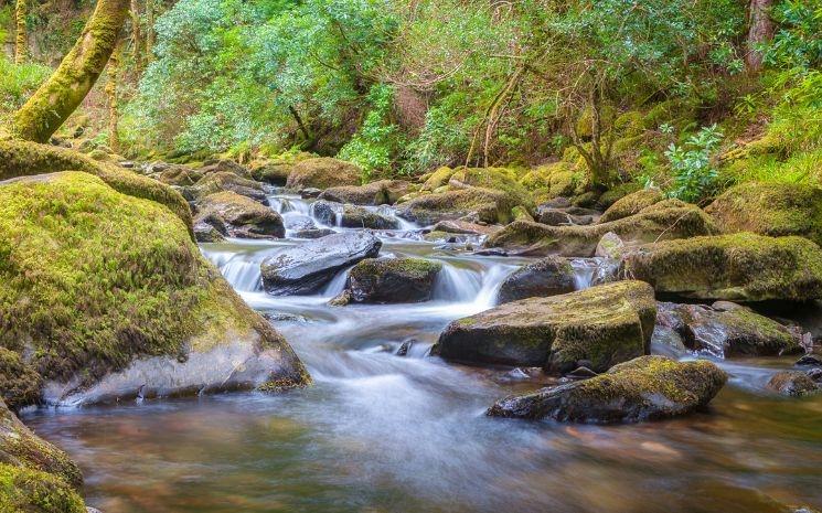 Le Parc National de Killarney