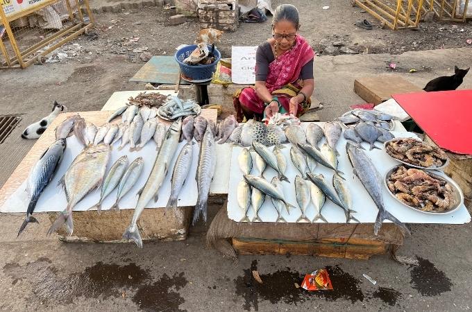 Une vendeuse de poisson de Mumbai