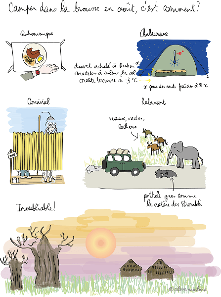 céline cire, dessin, humour, féminin, illustration, blogueuse, Dubai, Johannesburg